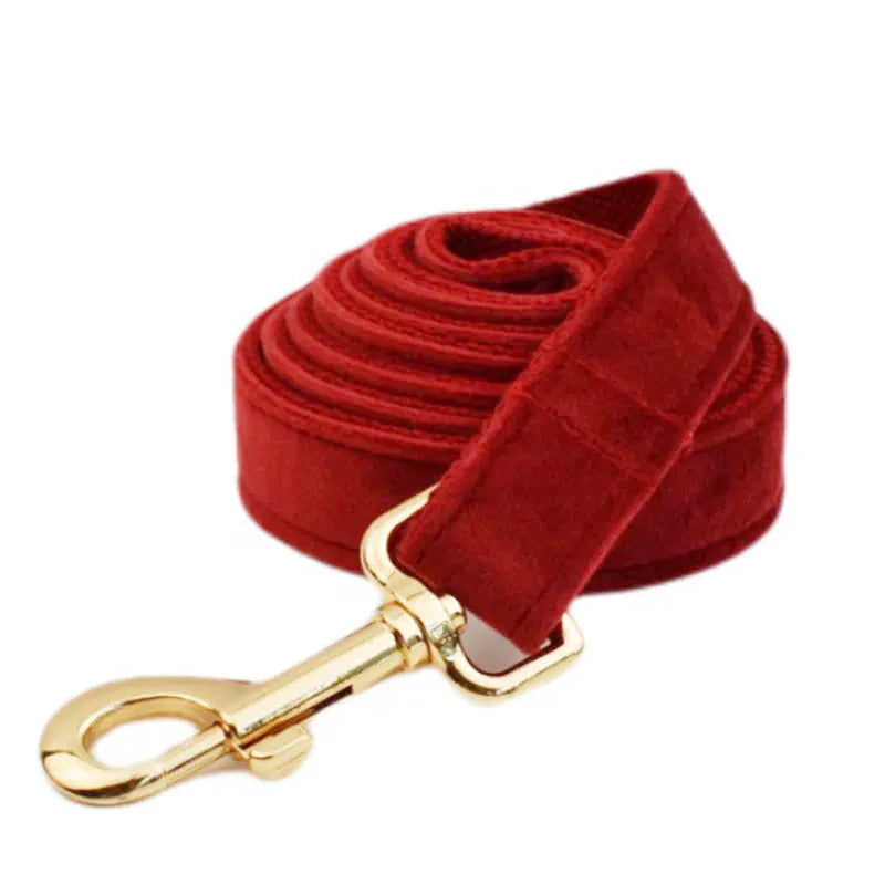 Cloth dog collar and leash set with red bow, matching vest, and flower accessory on a small dog.