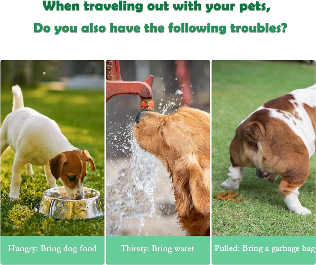 Green 3-in-1 portable pet water bottle with food container and waste bag dispenser, held by its strap.