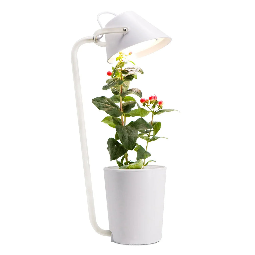 White plastic hydroponic container for desktop soilless plant cultivation