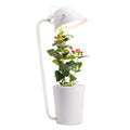 White plastic hydroponic container for desktop soilless plant cultivation
