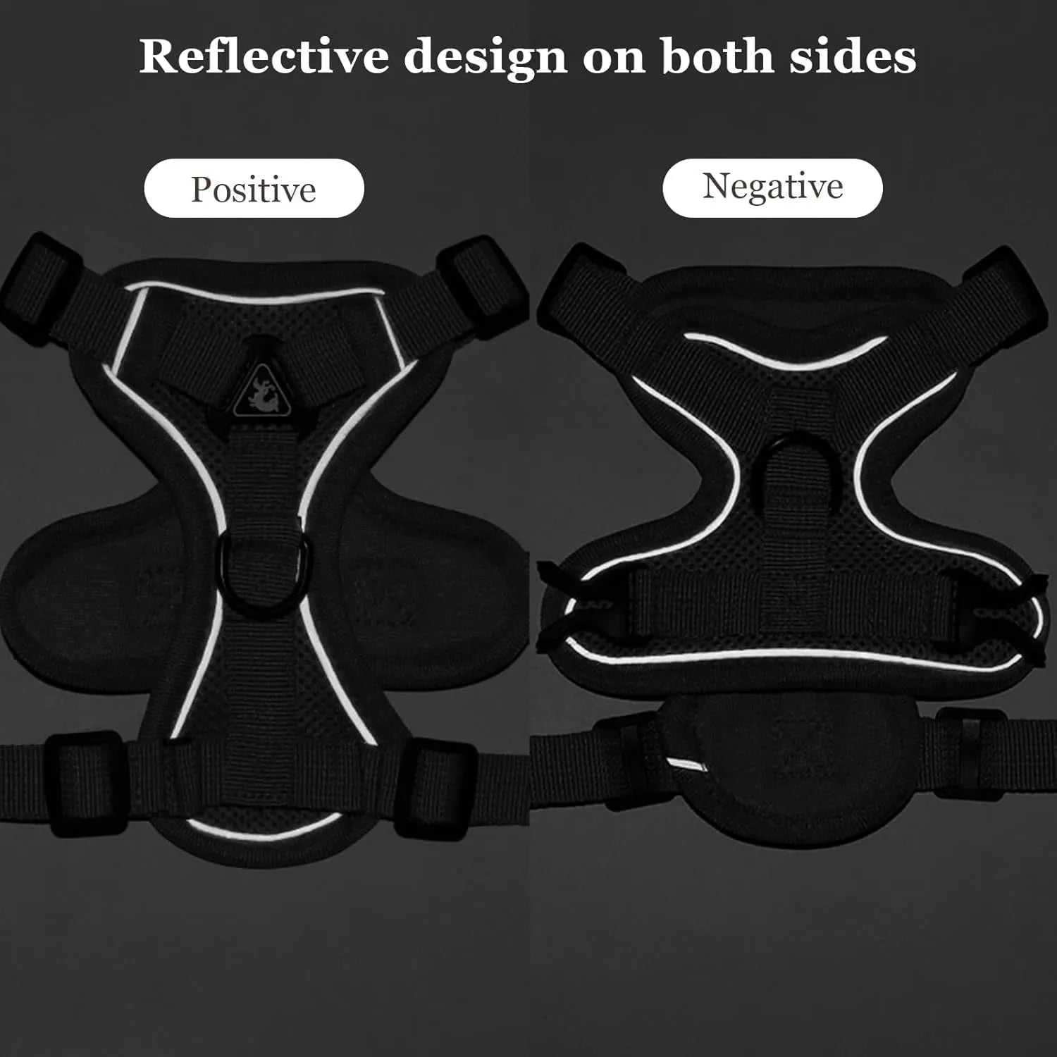 Blue adjustable mesh cat harness with reflective strips and leash for outdoor walks