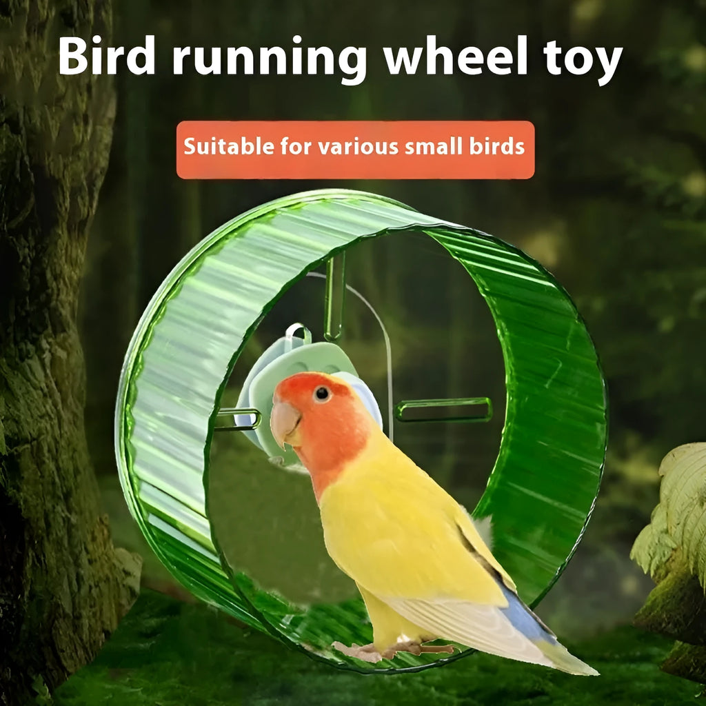 21cm transparent plastic parrot running wheel toy for bird exercise.