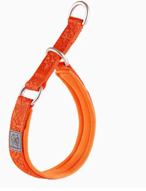 Dog P chain walking collar in nylon webbing with aluminium alloy hardware, available in multiple sizes and colours