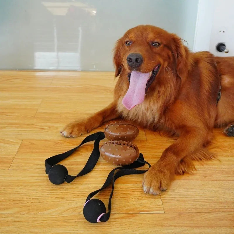 Coffee brown coffee bean-shaped TPR rubber dog chew toy with visible rope knot interior.