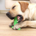 Green TPR dog chew toy with suction cup base and molar rod for teeth cleaning and tartar prevention