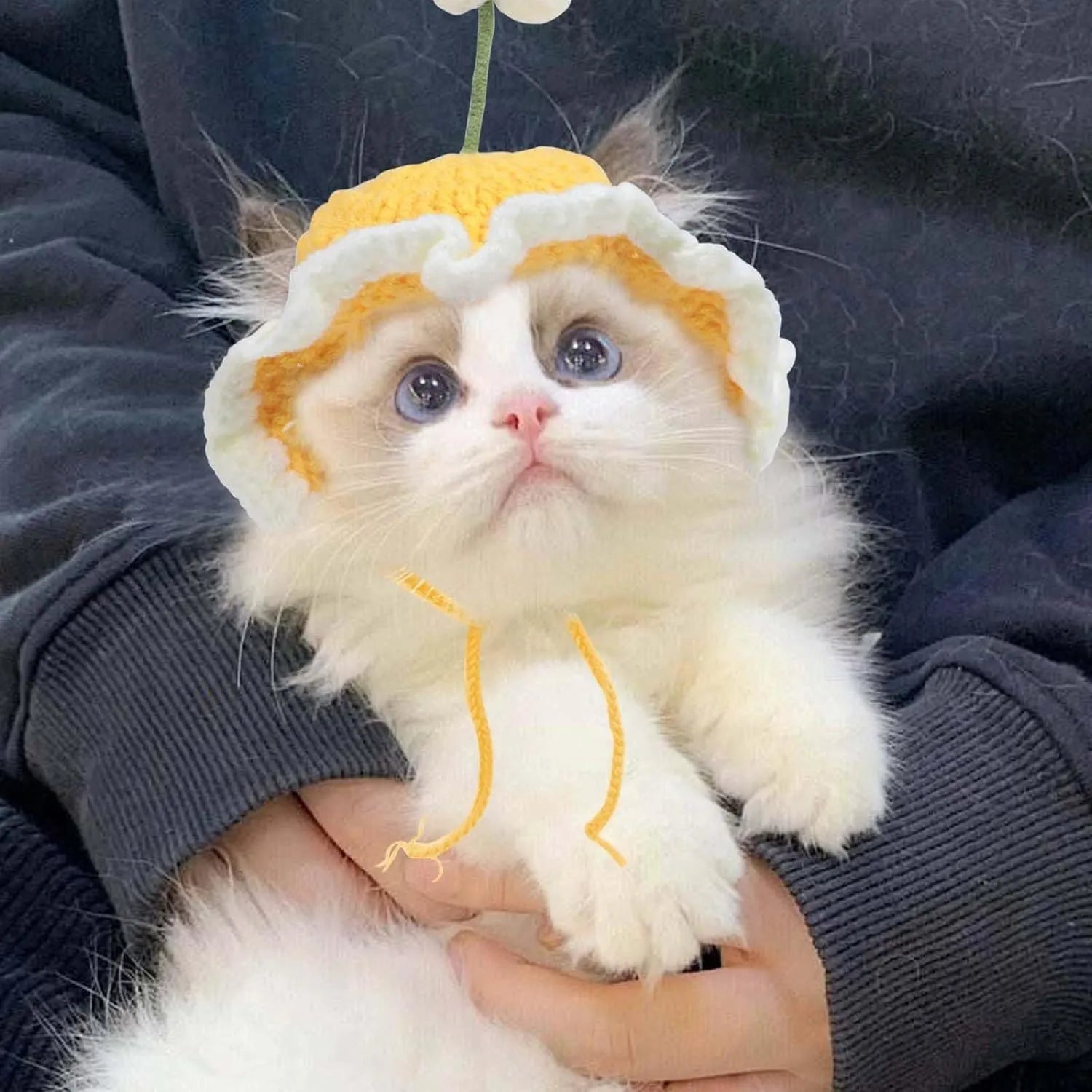 Knitted cartoon cat hat for small pets in green, pink, and yellow colours