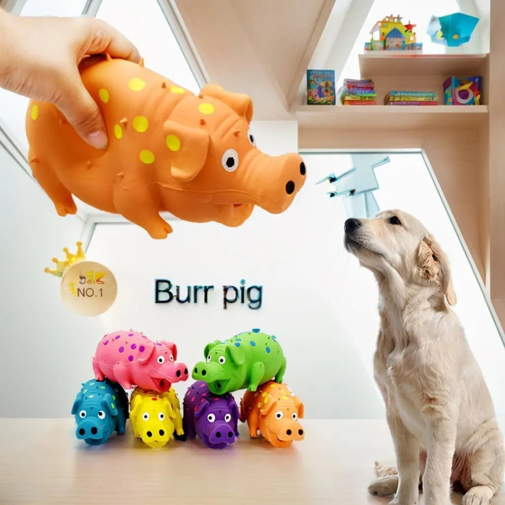 Blue pig-shaped latex dog chew toy with textured surface and squeaker, 20cm long