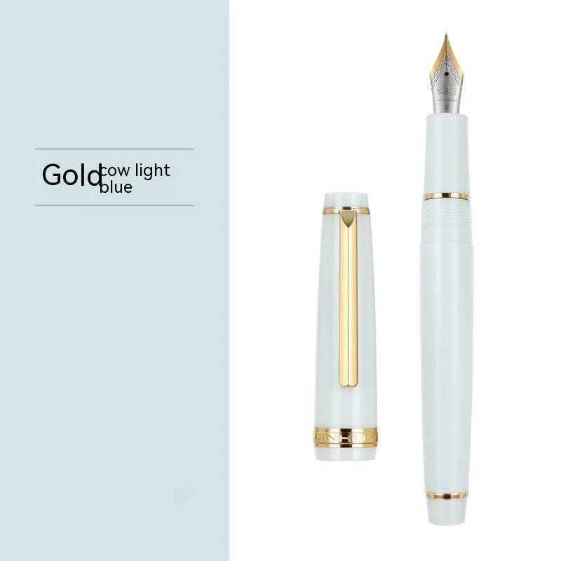 Resin fountain pen with stainless steel nib, shown in black with gold clip option.