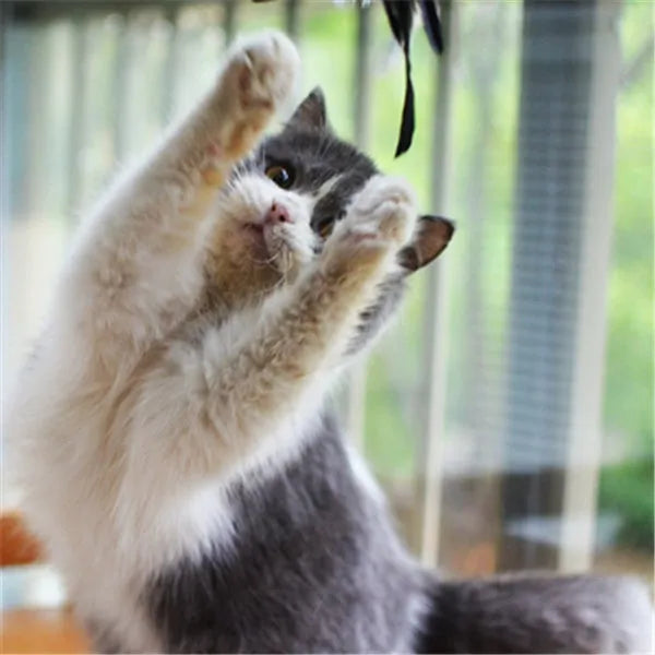Cat toy funny cat stick with wooden handle, 80cm flexible rod, and black and white fur replacement heads