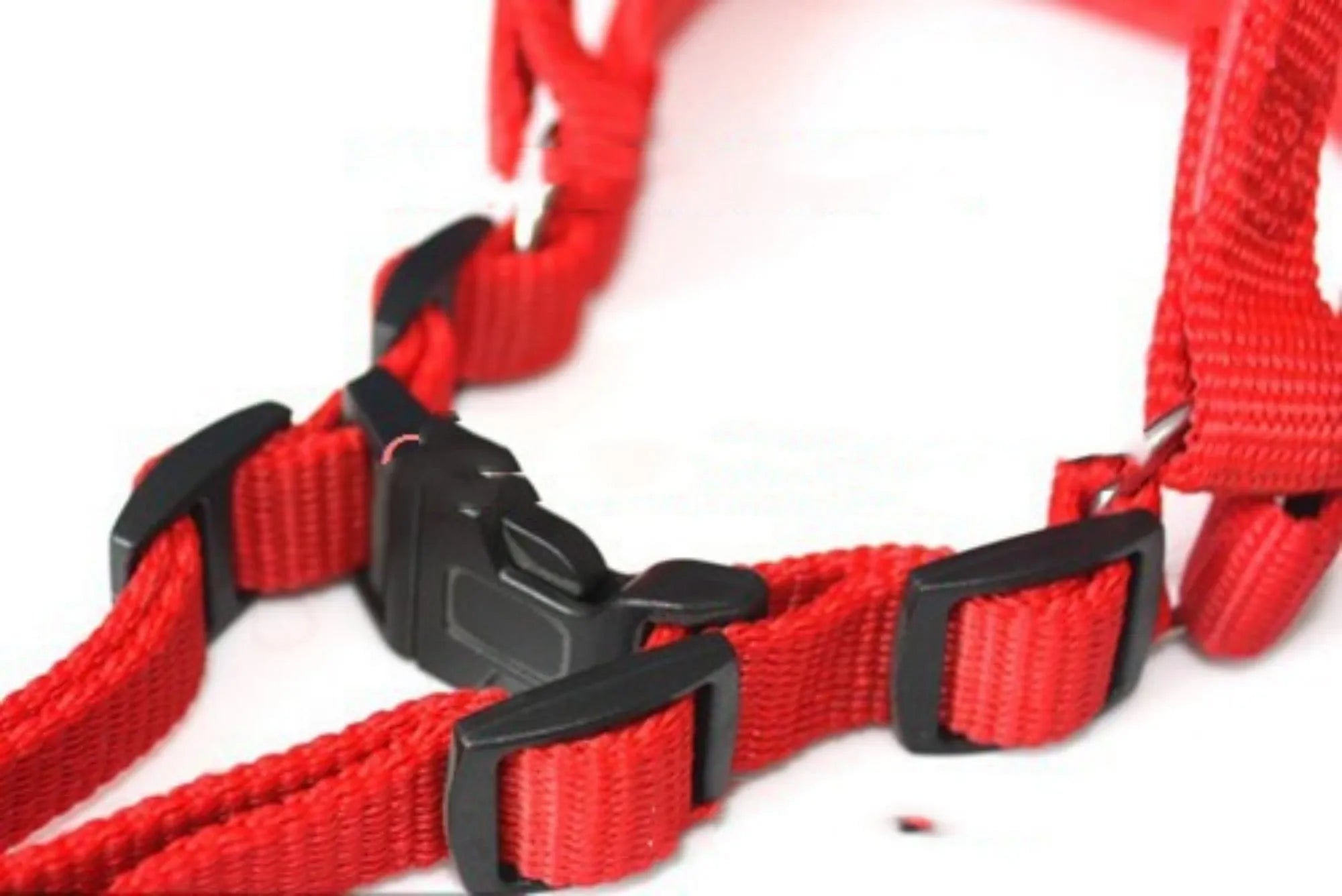 Blue nylon pet harness traction belt with soft foam lining and chest strap attachment for dog walking