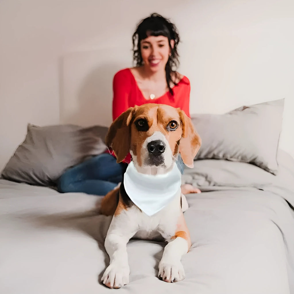 White blank polyester dog scarf for thermal transfer customisation showing four size options