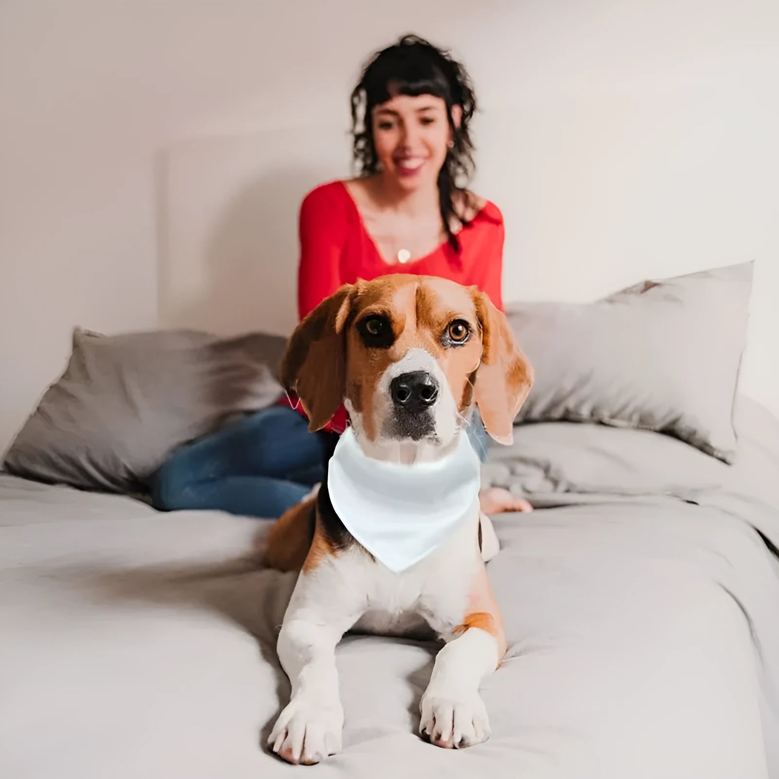 White blank polyester dog scarf for thermal transfer customisation showing four size options