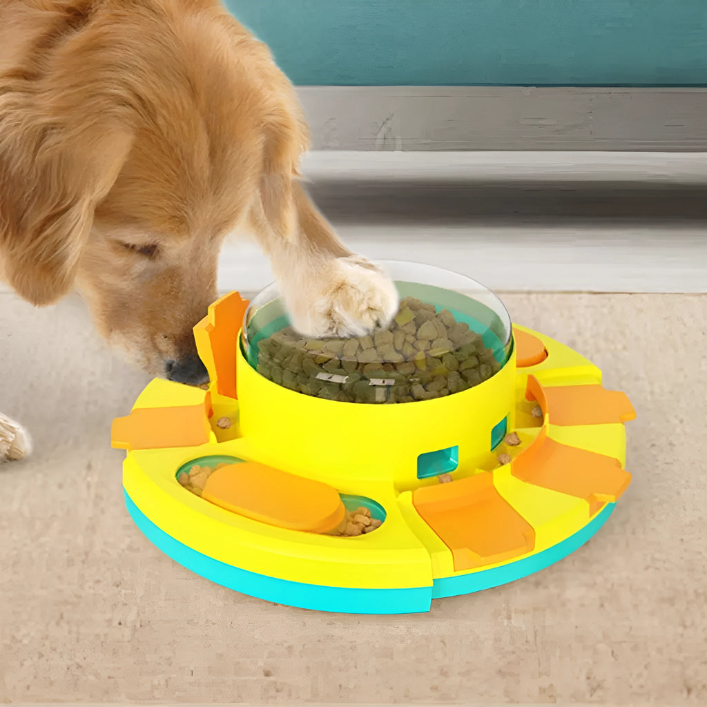 Plastic dog puzzle toy and colourful cat teaser tumbler set for pet play and mental stimulation.