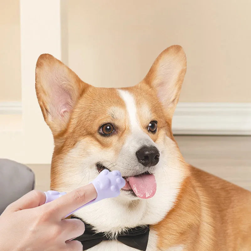 Pink silicone finger toothbrush for dogs and cats with soft nubby bristles.