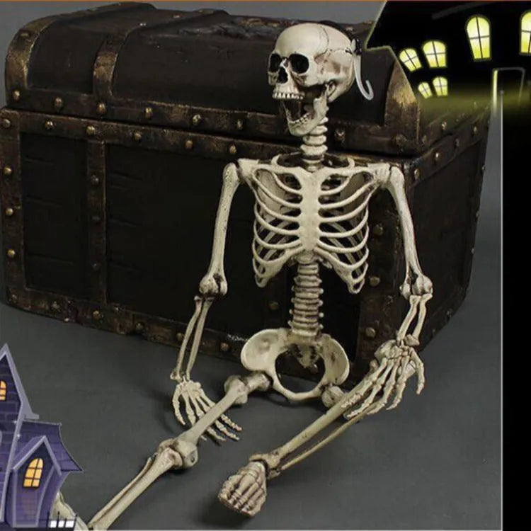 Full-size 170 cm plastic skeleton prop with realistic anatomical bone structure details