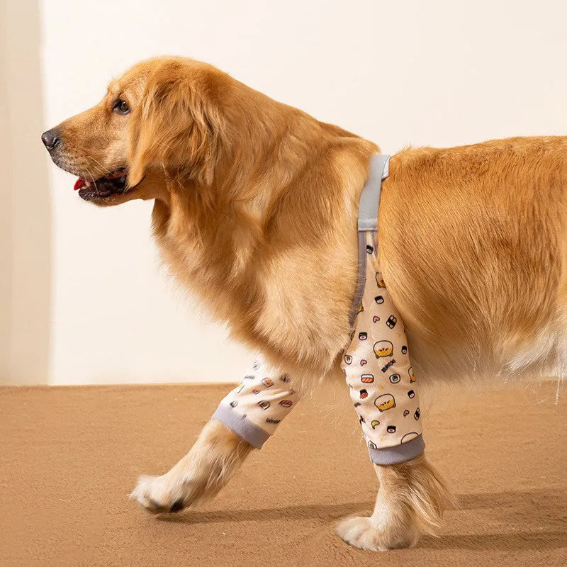 Blue adjustable dog knee protector wrap with a matching scarf on a medium-sized dog