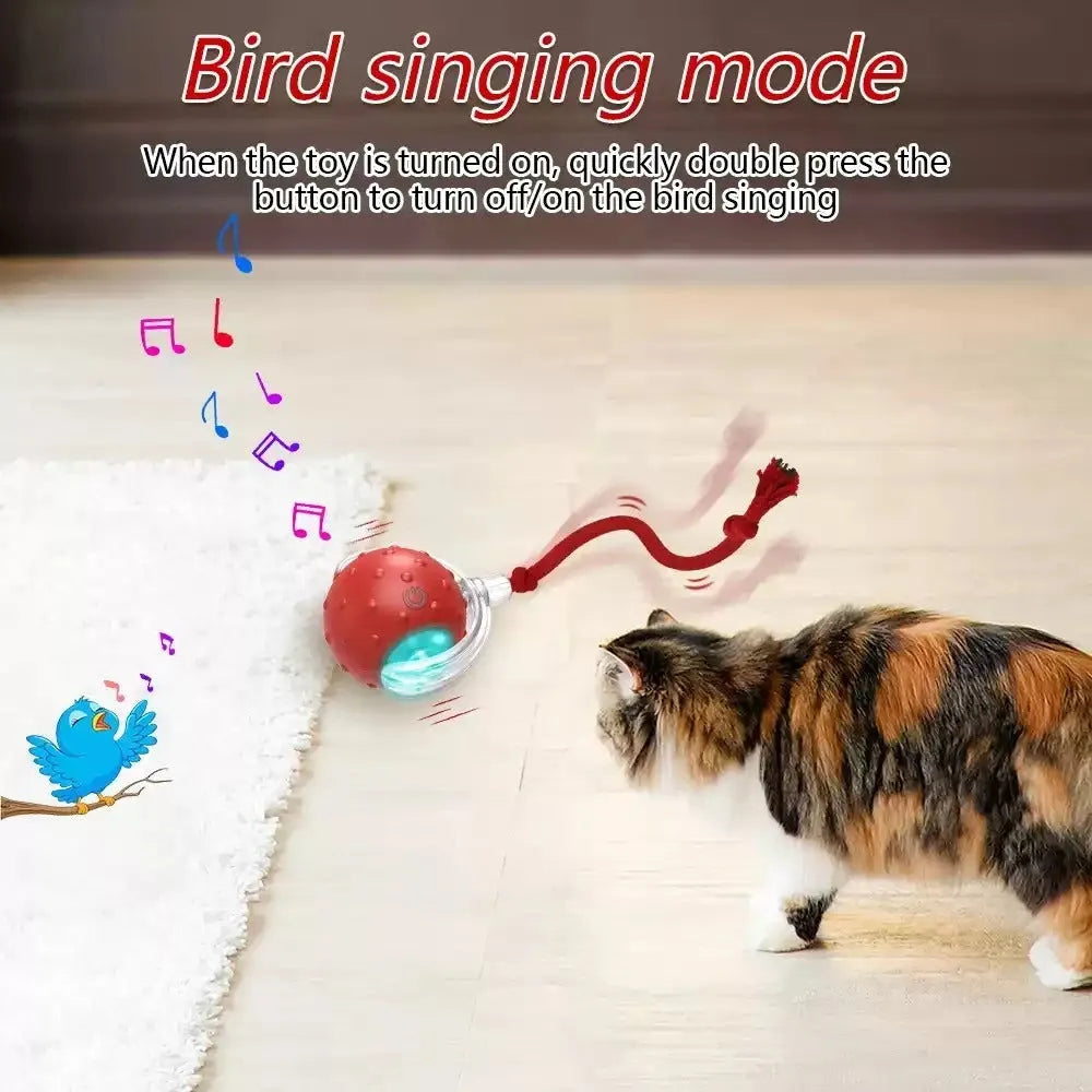 Blue interactive cat toy ball with automatic rotation mechanism for indoor pet entertainment