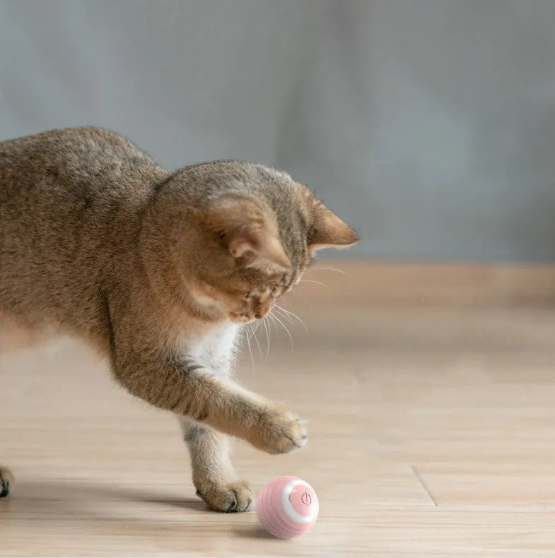 Blue rechargeable automatic moving cat toy ball on floor with charging cable