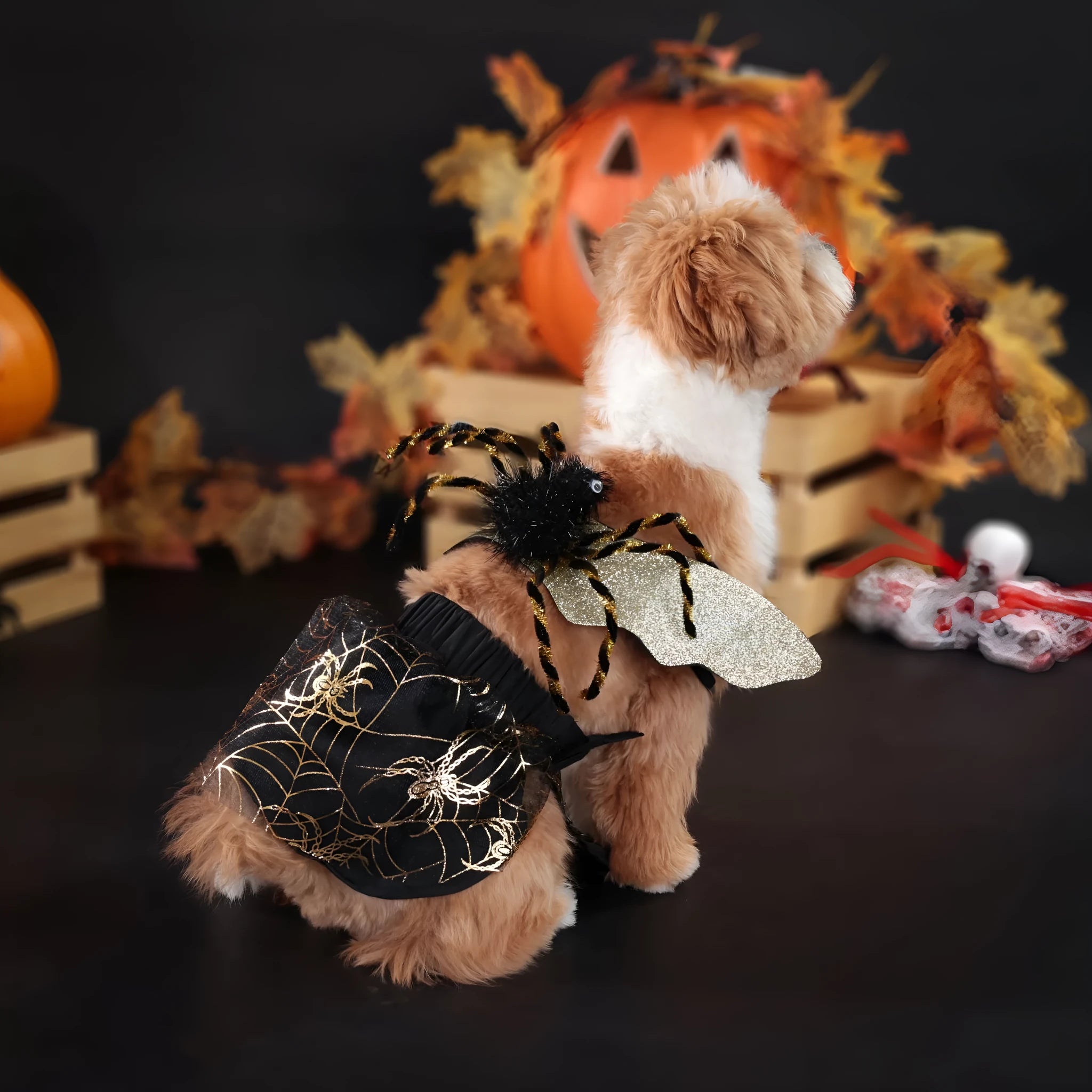 Halloween dog costume suit in polyester material showing size options