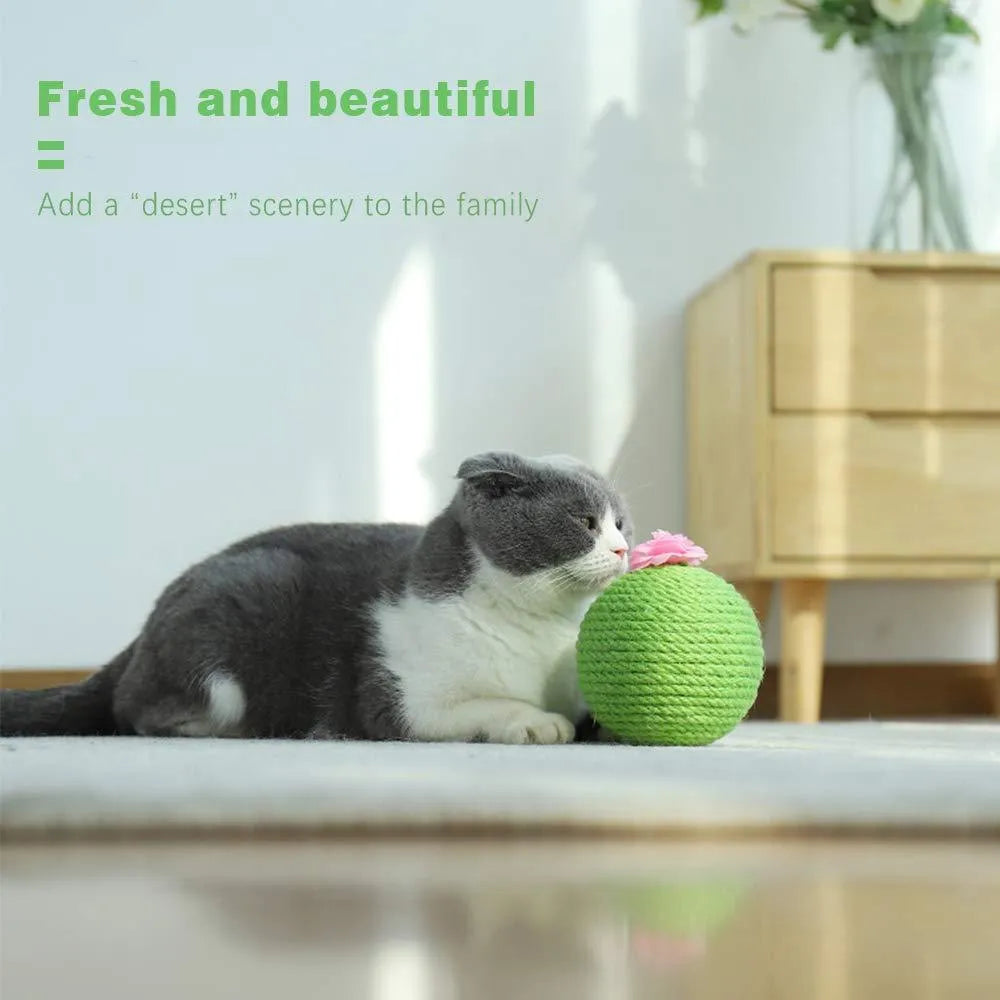 Green cactus-shaped cat scratcher with sisal post, catnip toys, and a tumbler ball on a stable base