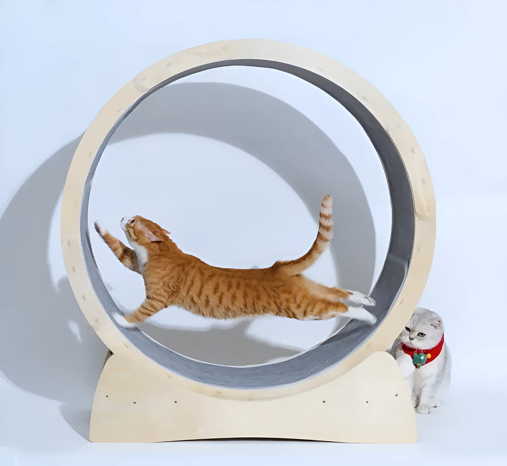 Solid wood cat treadmill roller, 91cm or 103cm, with quiet bearing and rounded corners