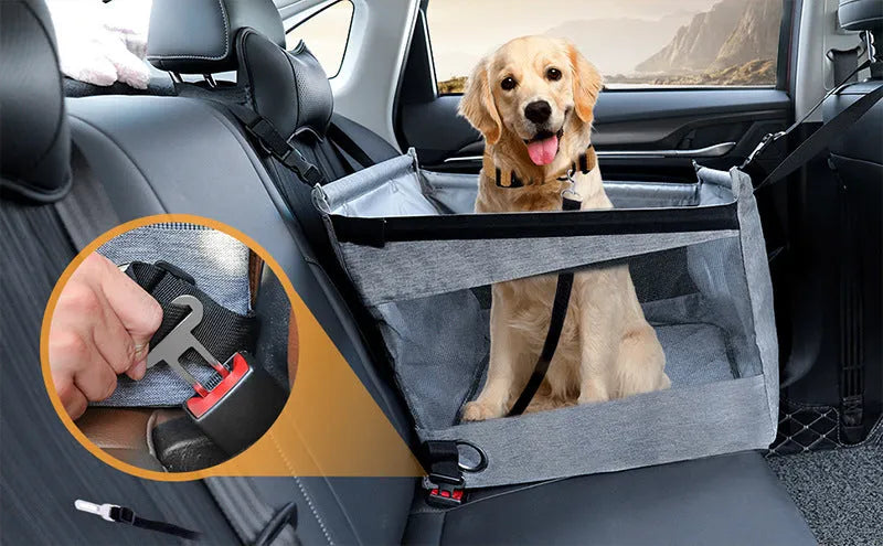 Collapsible oxford cloth dog crate in black, shown with dimensions 49cm wide by 49cm deep by 38cm tall