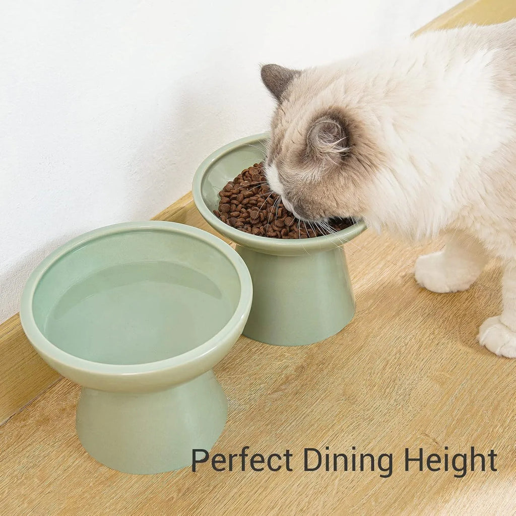 Extra wide ceramic elevated cat food bowl set in blue colour with shallow design