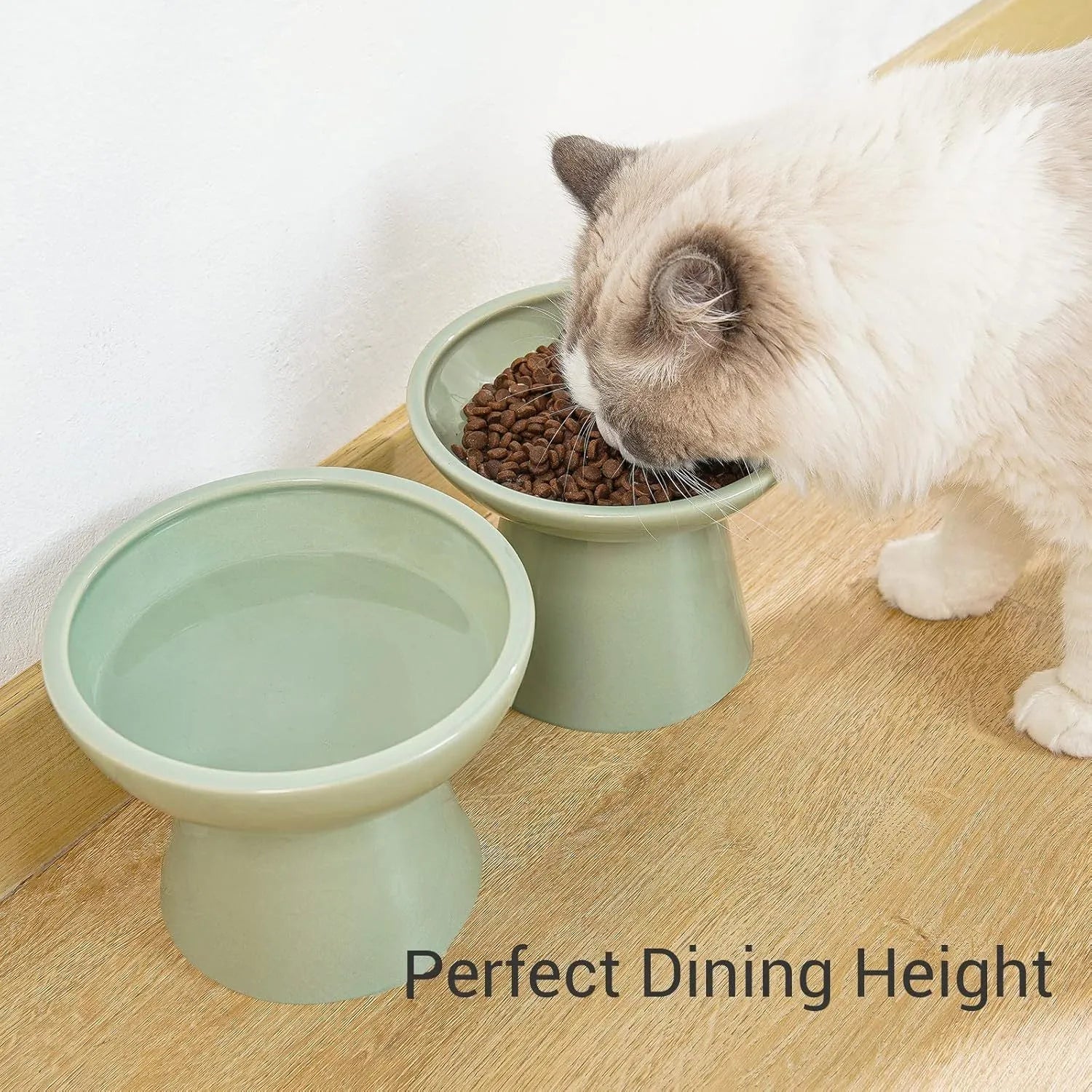 Extra wide ceramic elevated cat food bowl set in blue colour with shallow design