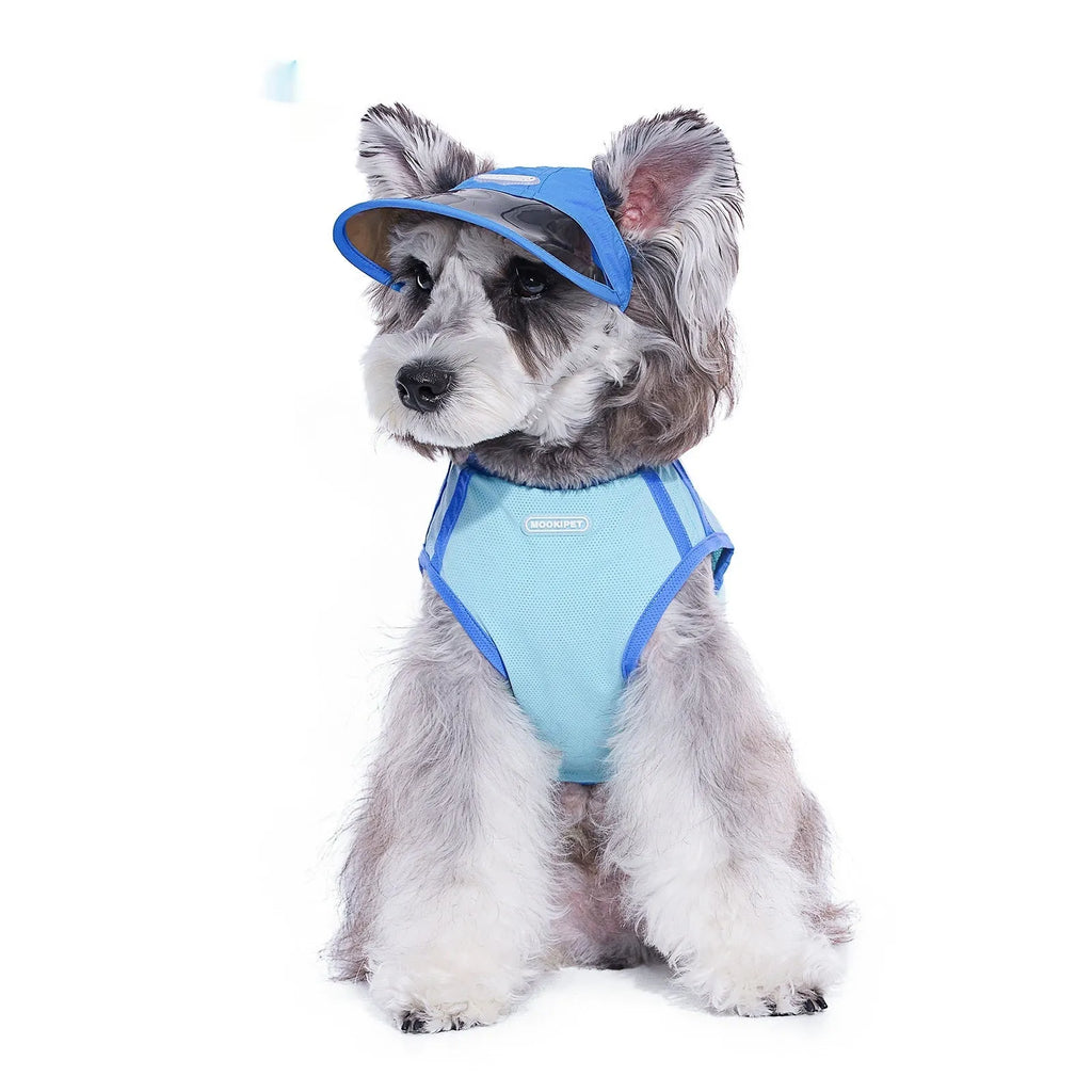 Blue nylon dog hat for small dogs, casual style, spring autumn, size S M L