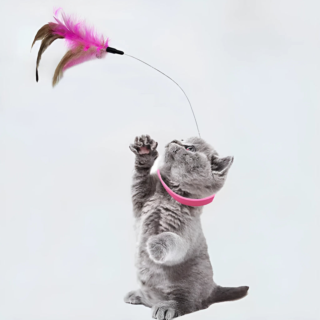 Blue adjustable cat collar with attached silicone wand, dangling feather, and a small bell for interactive play.