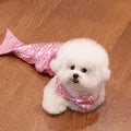 Blue pet mermaid costume with scale pattern and fish tail on a small cat.