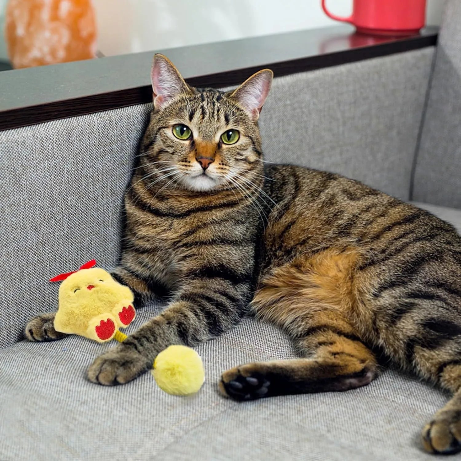 4-in-1 interactive cat toy set with plush animal, silvervine fruit, stretching spring, and fuzzy red ball.