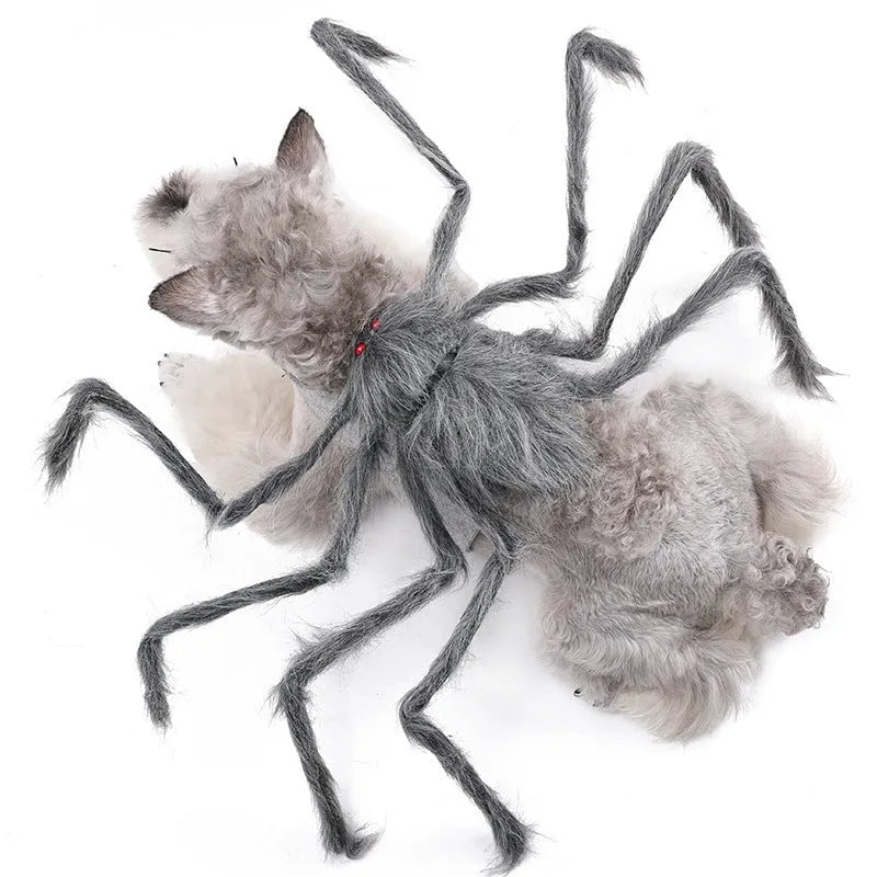 Halloween spider costume for pets on dog showing eight-legged design