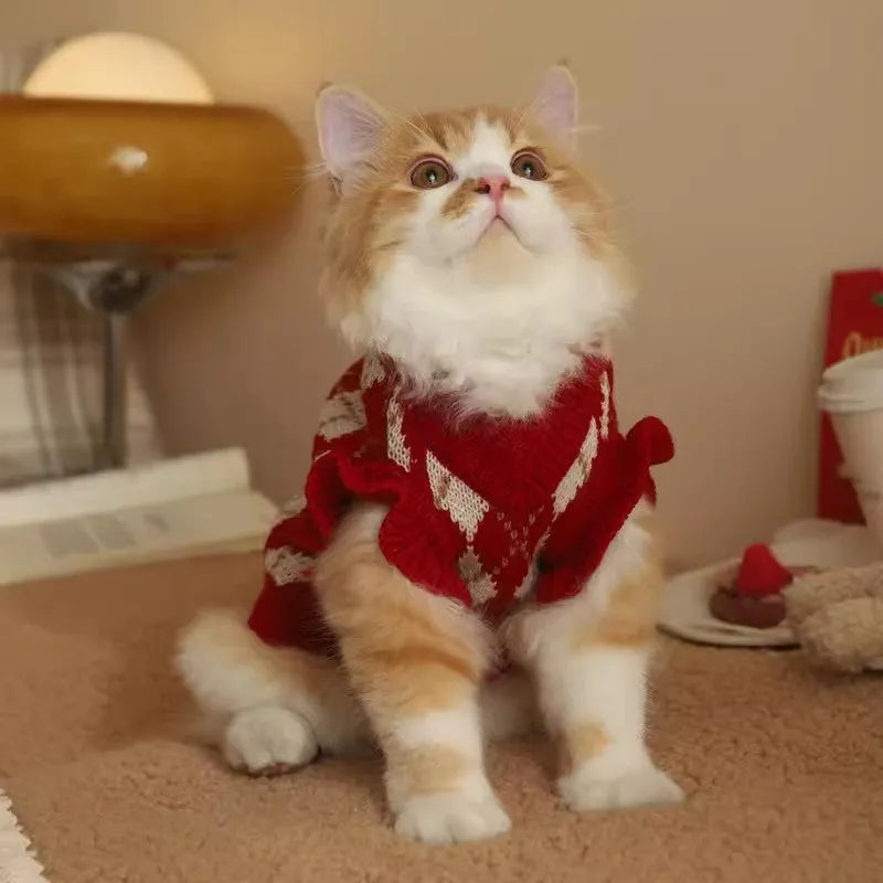 Red cat sweater with cherry pattern and rhombic embroidery, shown on a model cat.