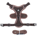 Blue adjustable mesh cat harness with reflective strips and leash for outdoor walks