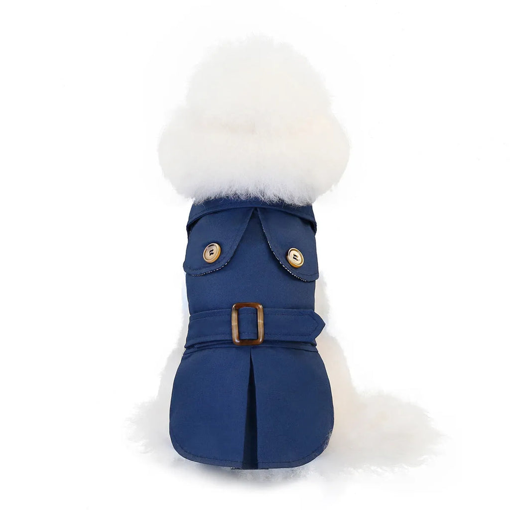 Three-colour windbreaker dog coat for small dogs in blue, green, or khaki, sizes S to XXL.