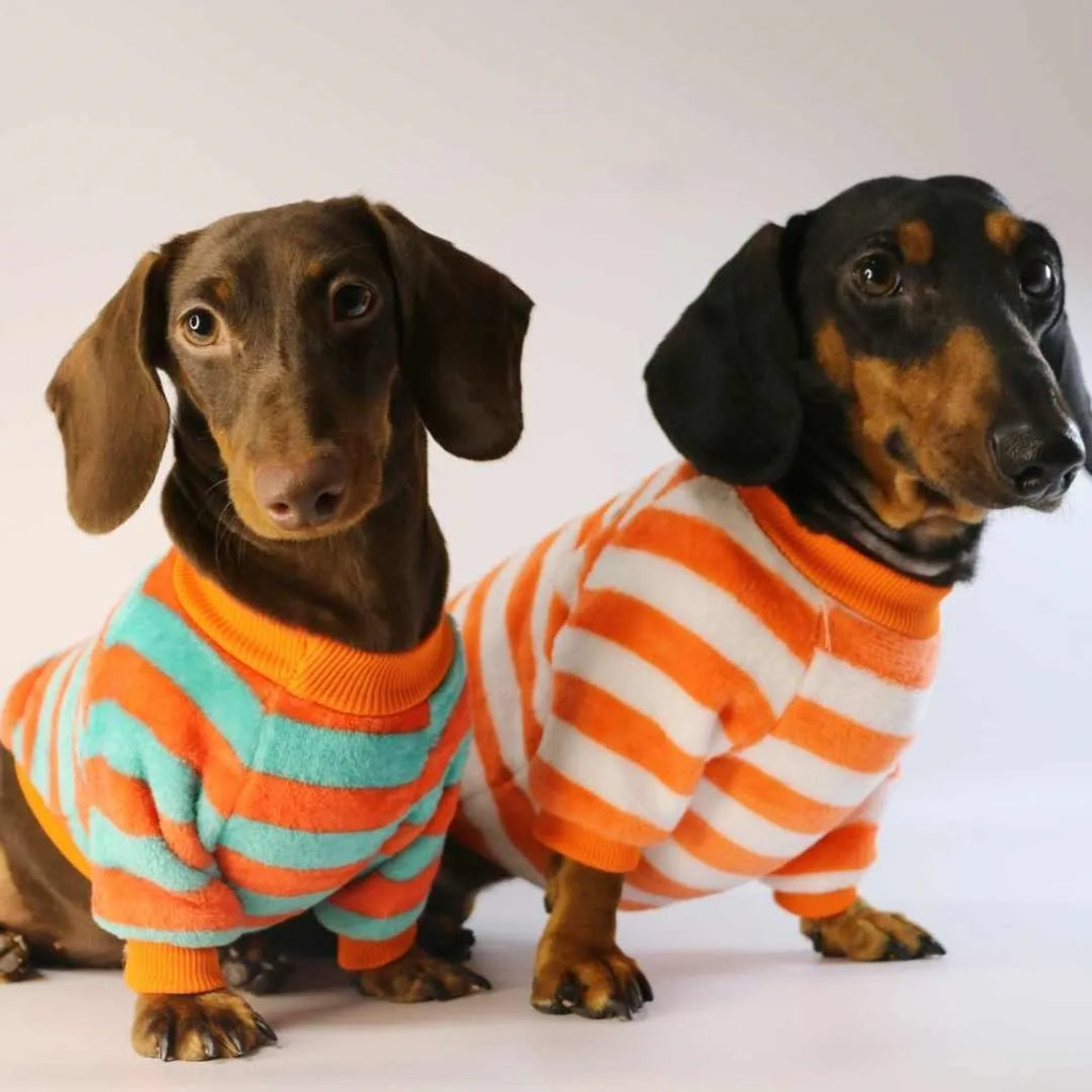 Orange, red, and white striped casual sweatshirt for a dog or cat on a hanger.