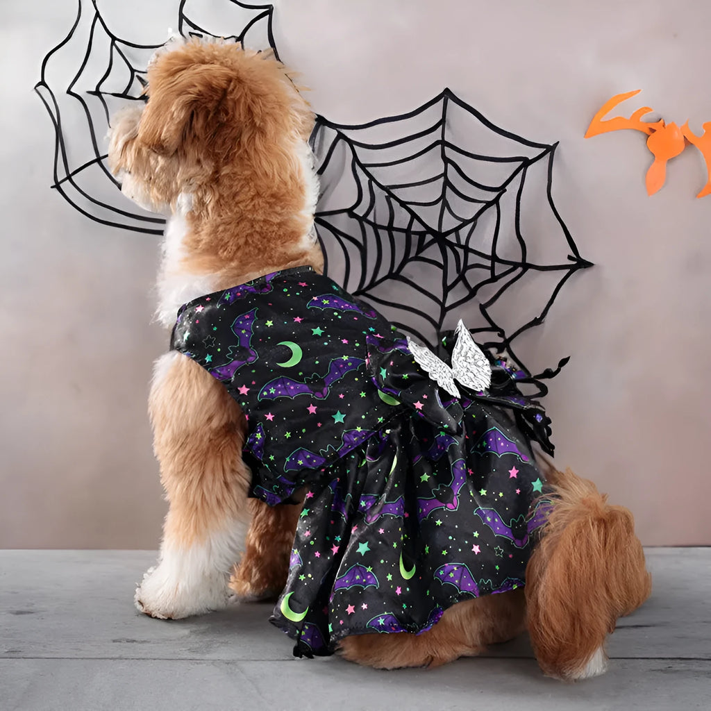 Halloween dog costume with angel wings in bright pumpkin orange and bat print patterns