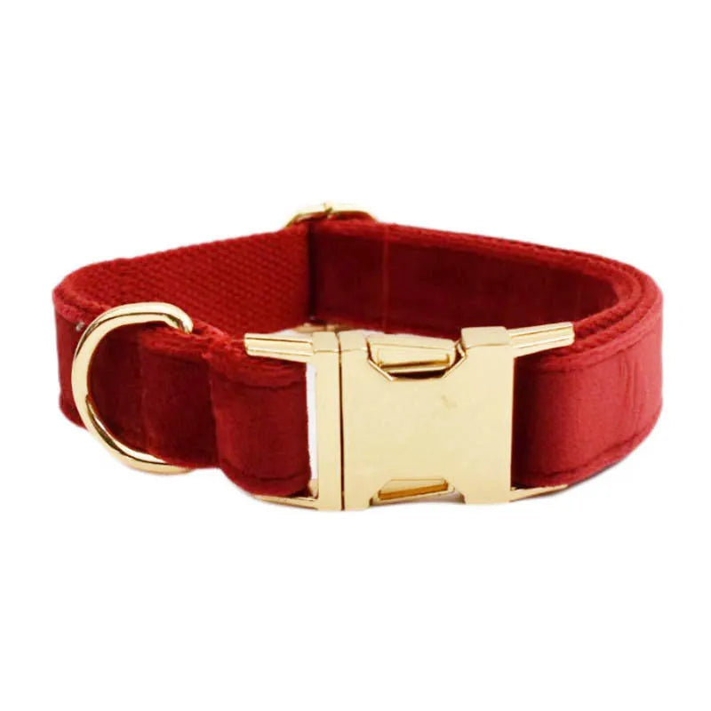 Cloth dog collar and leash set with red bow, matching vest, and flower accessory on a small dog.