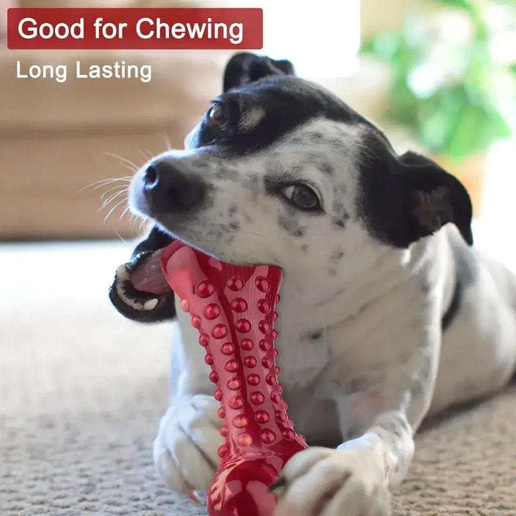 Red natural rubber heavy duty chew toy for aggressive dogs and powerful chewers