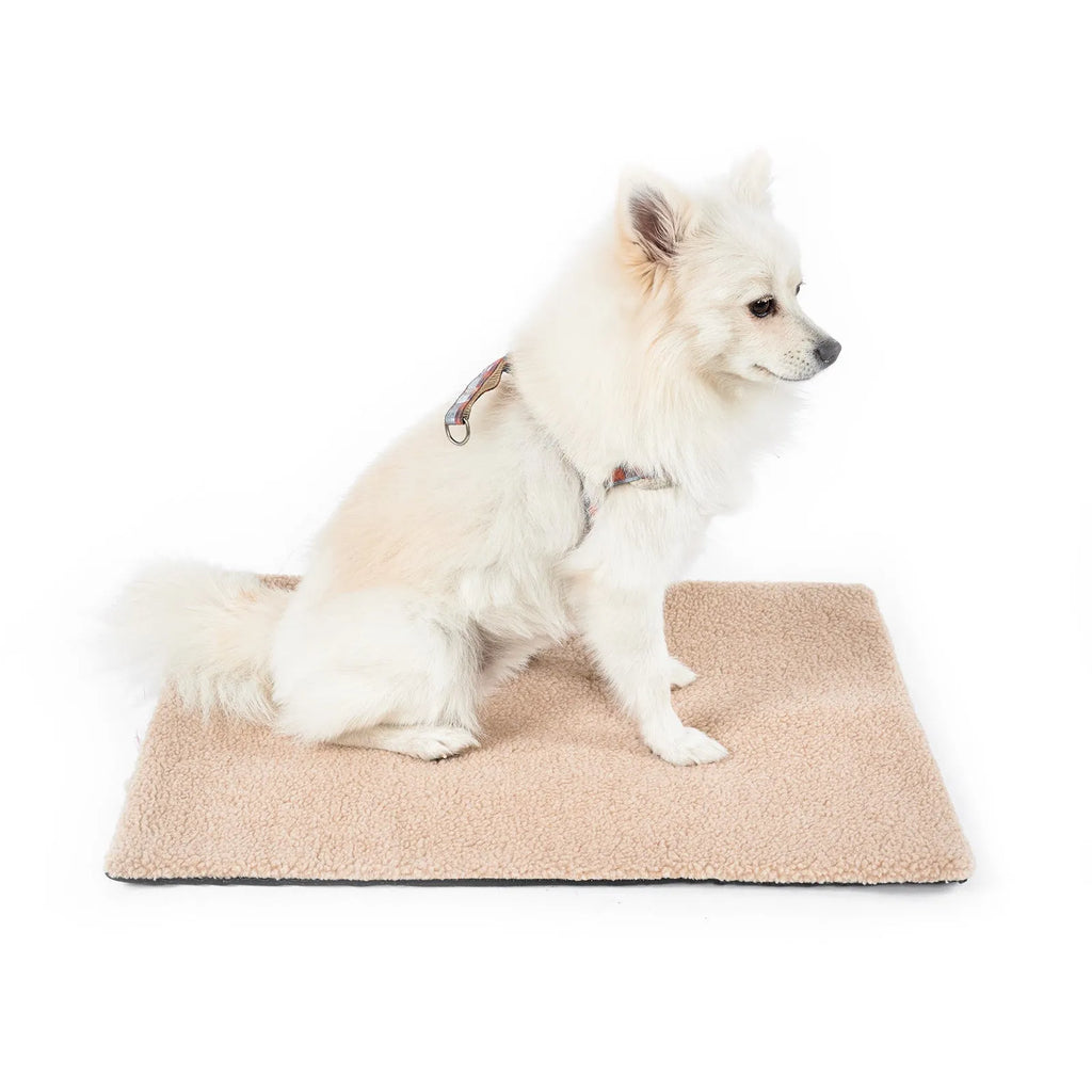 Grey plush self-heating pet bed for cats and small dogs with dimensions 95x65cm