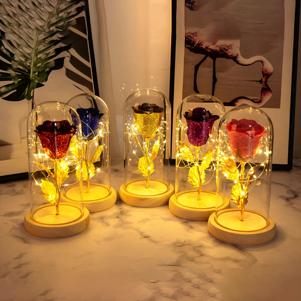 Handmade eternal red rose flower with warm white LED light inside a glass cover