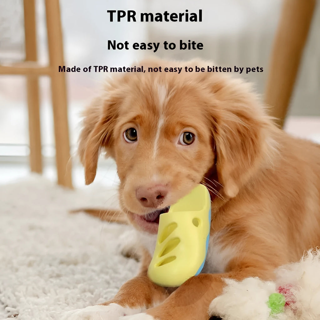Blue and yellow TPR dog bath massage brush showing quincuncial head, pointed toe, and horizontal pattern designs