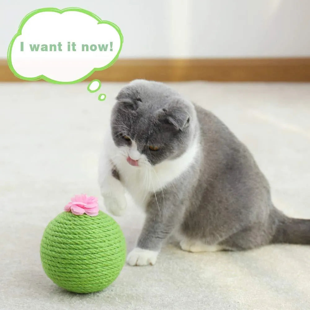 Green cactus-shaped cat scratcher with sisal post, catnip toys, and a tumbler ball on a stable base