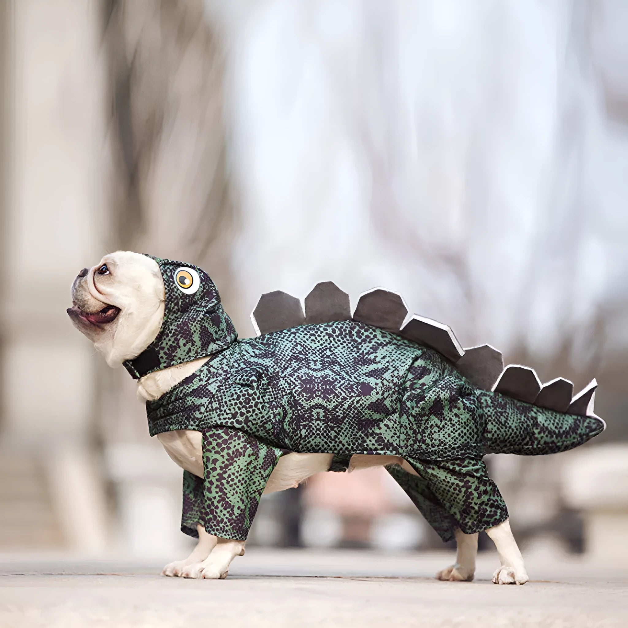 Pet dinosaur costume bunny outfit for female dogs and cats