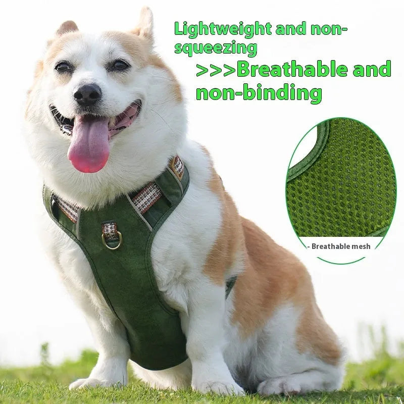 Brown explosion-proof reflective leather dog harness shown on dog with traditional design