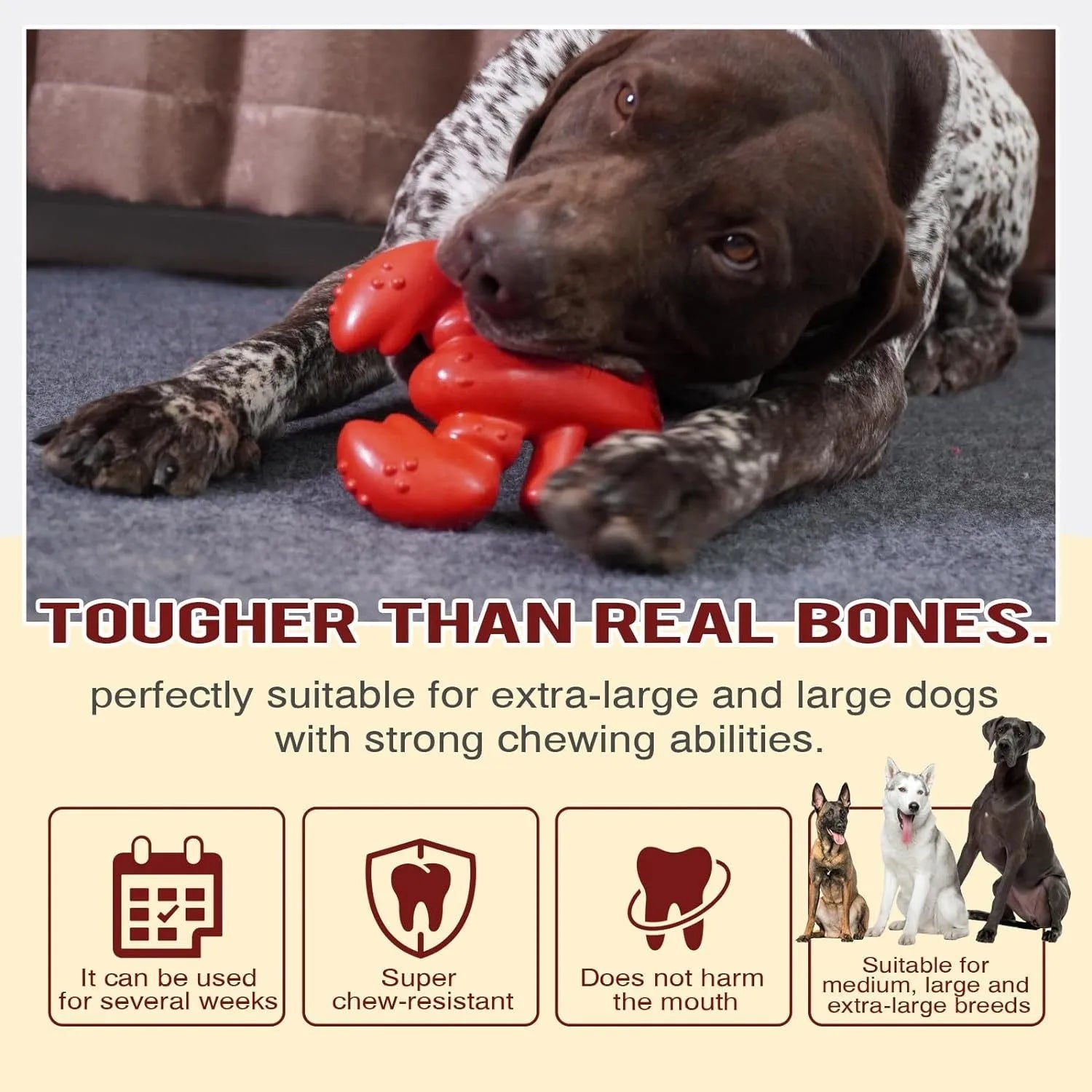 Red Nylabone dog chew toy for aggressive chewers measuring 170mm long
