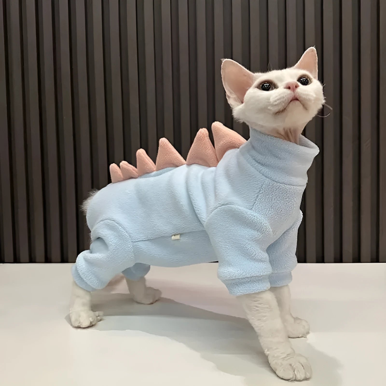 Sphynx cat wearing a green fleece dinosaur costume with a tail and back spikes