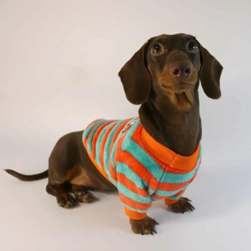 Orange, red, and white striped casual sweatshirt for a dog or cat on a hanger.