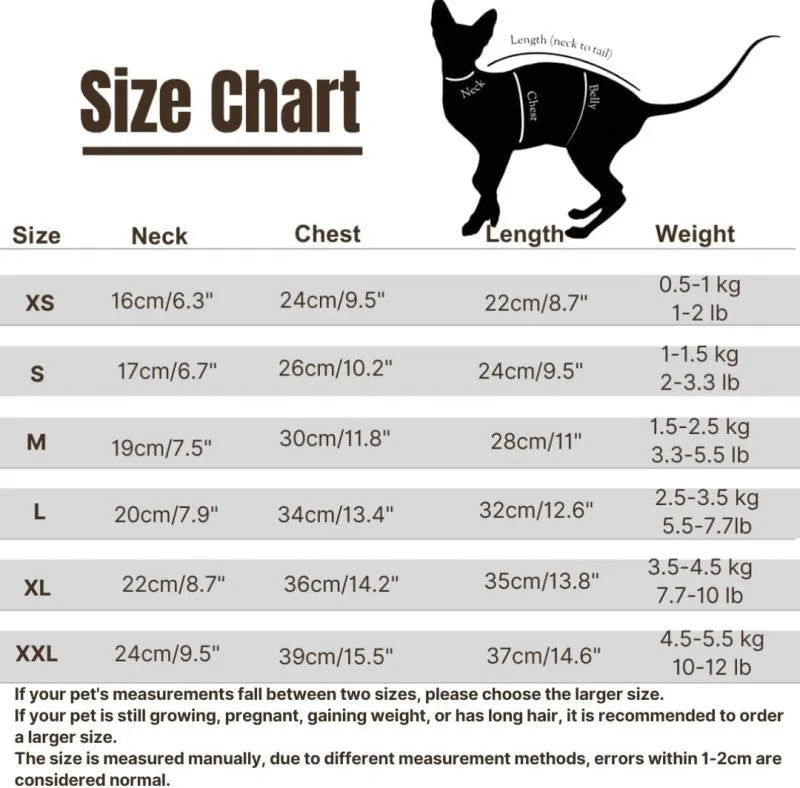 Sphynx cat wearing a green fleece dinosaur costume with a tail and back spikes